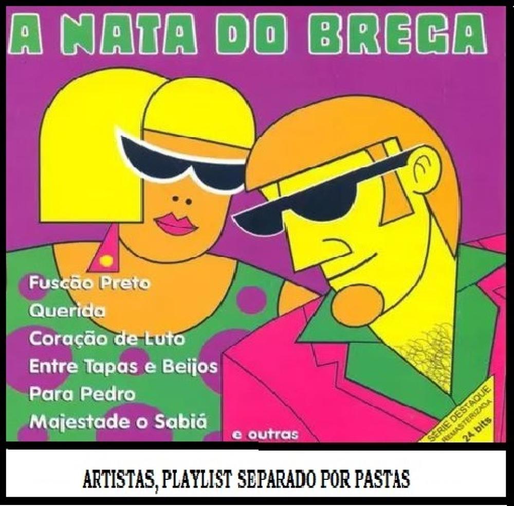 1319 - Pen Drive (Music) - A Nata do Brega