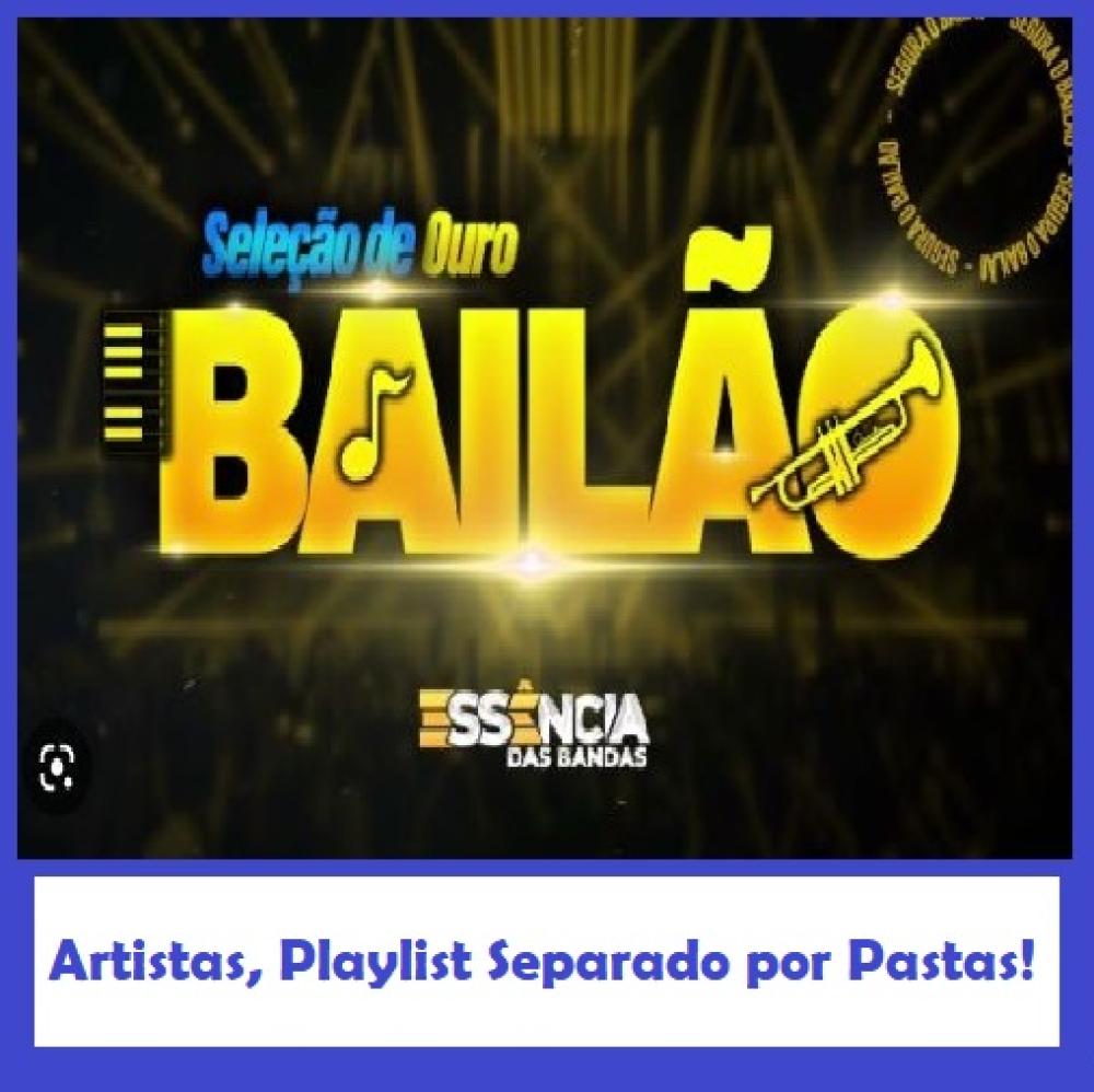 1331 - Pen Drive (Music) - Seleção de Ouro Bailão! 