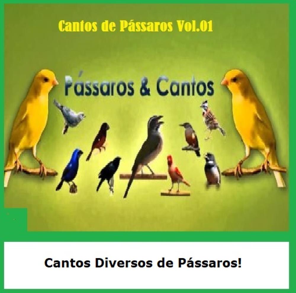 1342 - Pen Drive (Music) - Cantos de Pássaros Vol.01