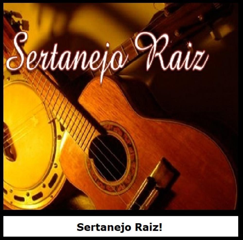 1349 - Pen Drive (Music) - Sertanejo Raiz!