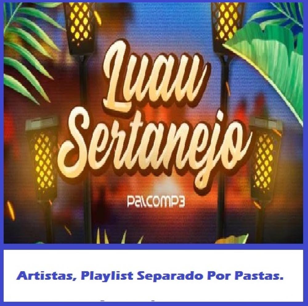 1398 - Pen Drive (Music) - Luau Sertanejo!