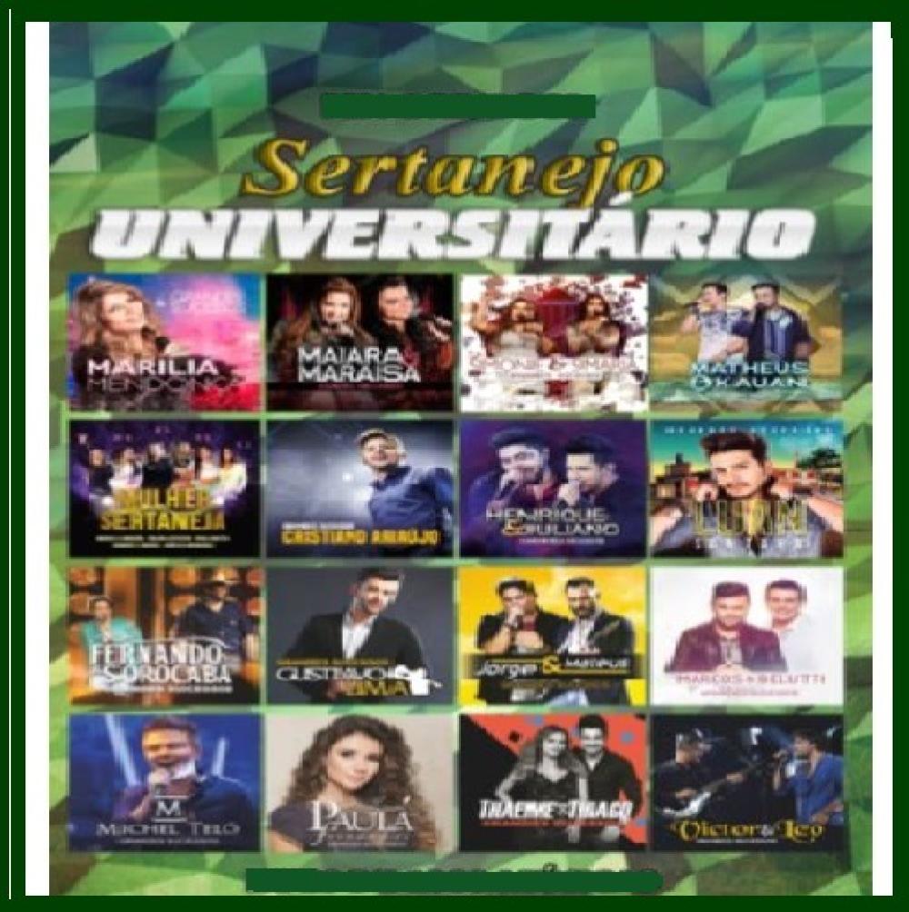 1401 - Pen Drive (Music) - Sertanejo Universitário Vol.01