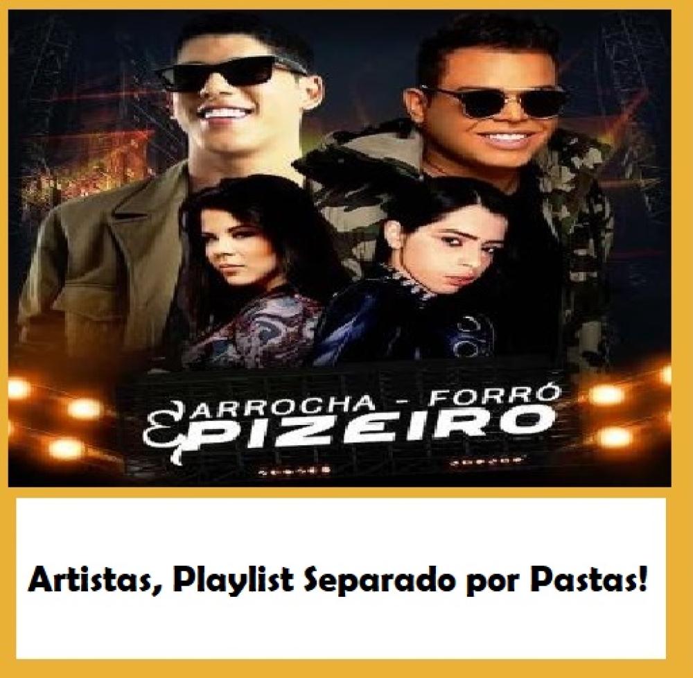 1529 - Pen Drive (Music) - Arrocha - Forró - Pizeiro
